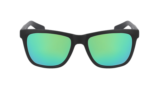 BISHOP H2O POLARIZED